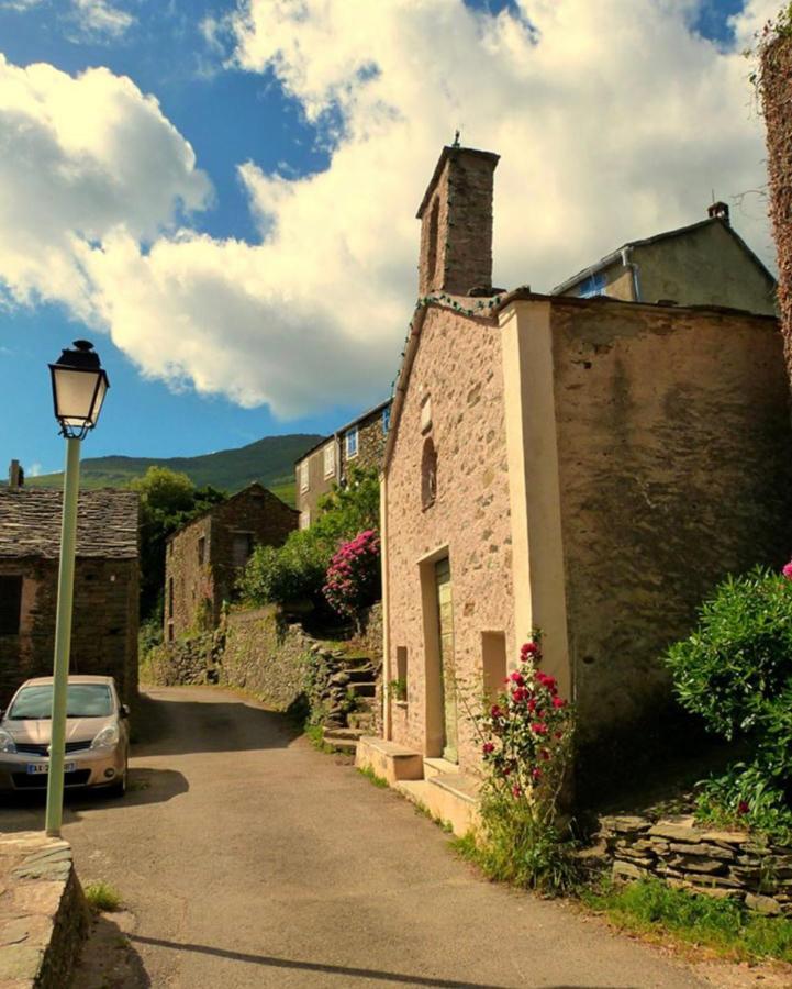 Tres Jolie Maison Aux Portes Du Cap Corse Sisco エクステリア 写真