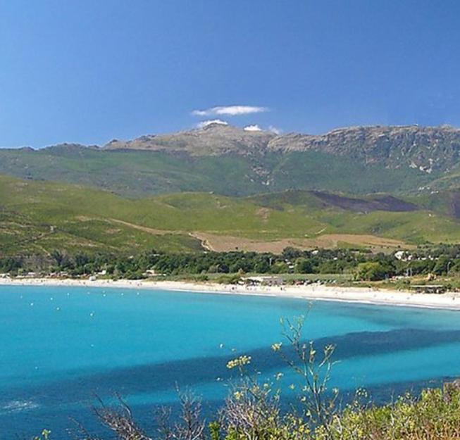 Tres Jolie Maison Aux Portes Du Cap Corse Sisco エクステリア 写真