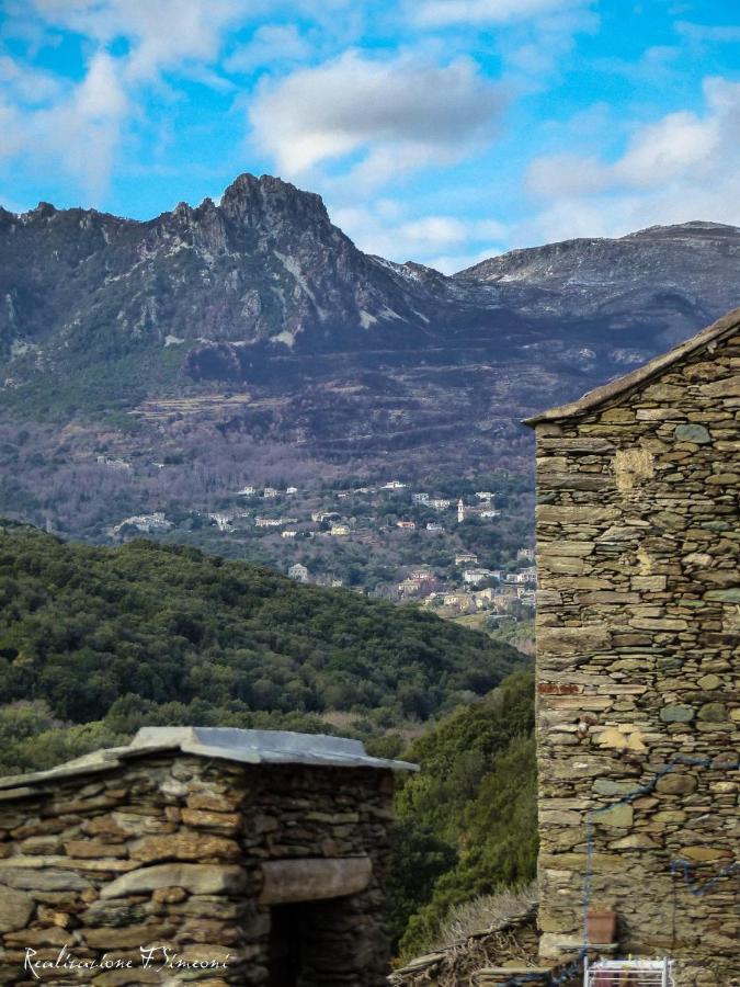 Tres Jolie Maison Aux Portes Du Cap Corse Sisco エクステリア 写真